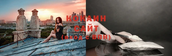 кокс Арсеньев