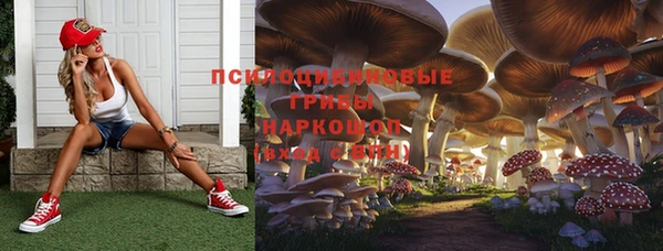 ALPHA PVP Аркадак