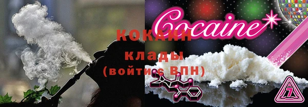 кокс Арсеньев